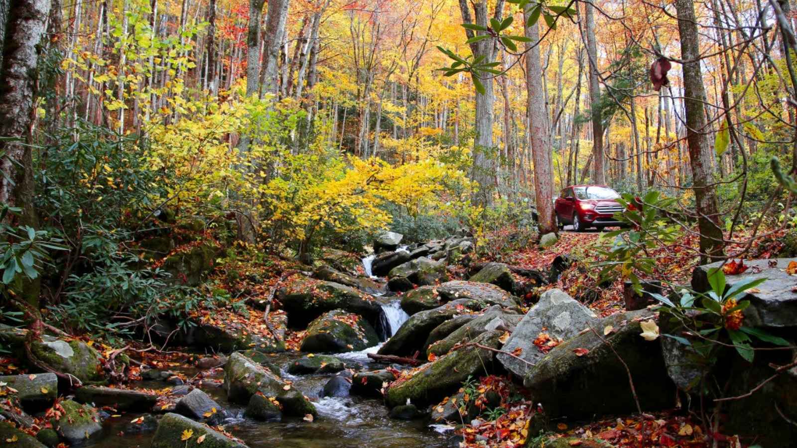 Best Ways to Leaf Peep Near Gatlinburg and Pigeon Forge Blog Article